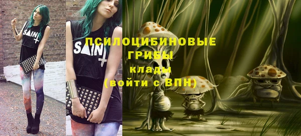 прущие грибы Семикаракорск