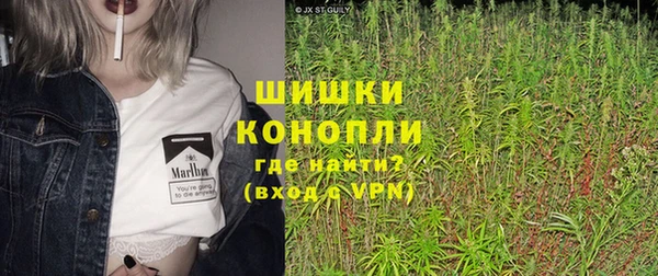 гидропоника Алзамай
