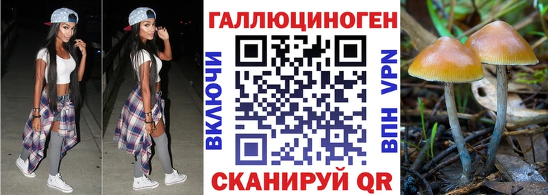 Галлюциногенные грибы ЛСД  Камбарка 