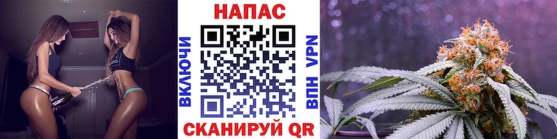 что такое   Камбарка  Бошки марихуана THC 21% 